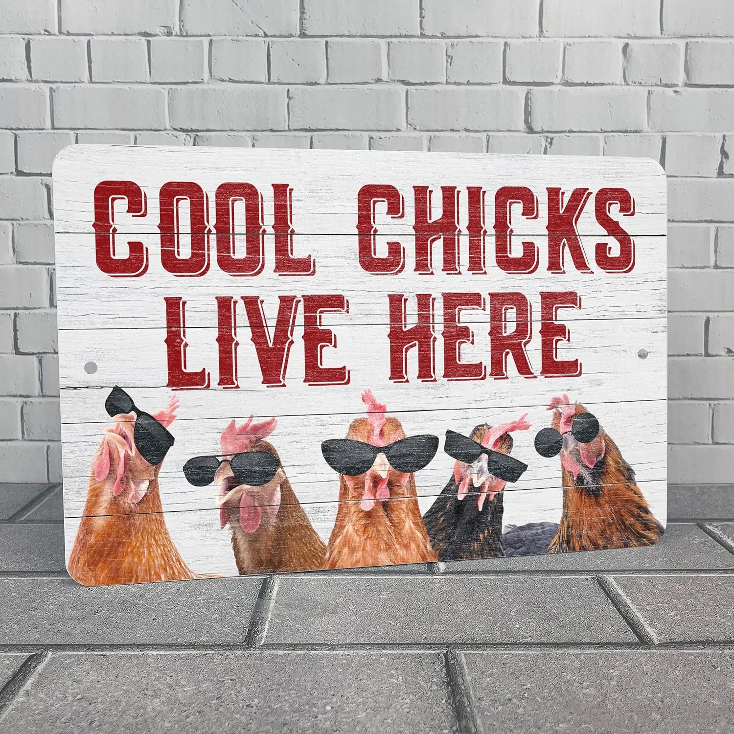 Cool Chicks Live Here Aluminum Sign, Hen House Decor, Waterproof, UV Resistant, Multiple Sizes made in the USA by Funny HAHA ( I