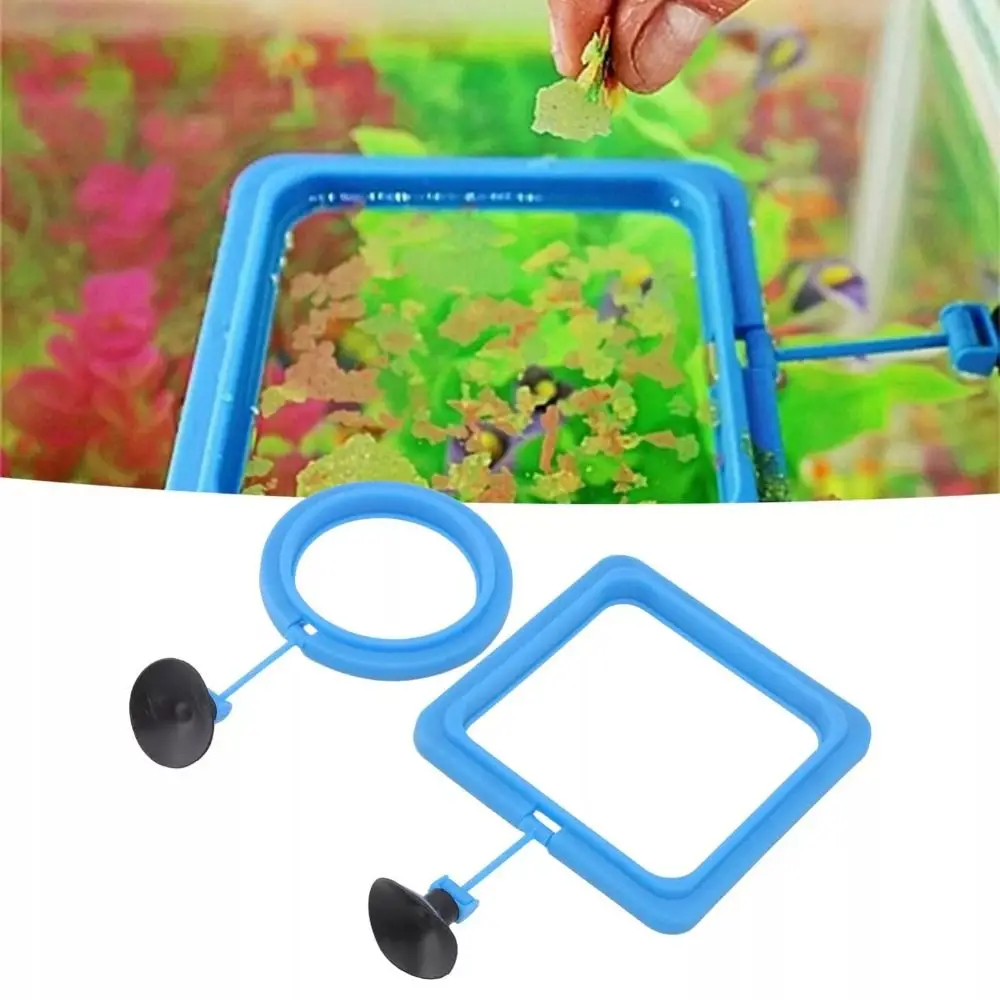 5Pcs Fish Feeding Ring Aquarium Fish Floating Food Feeder Strong Suction Cup Fish