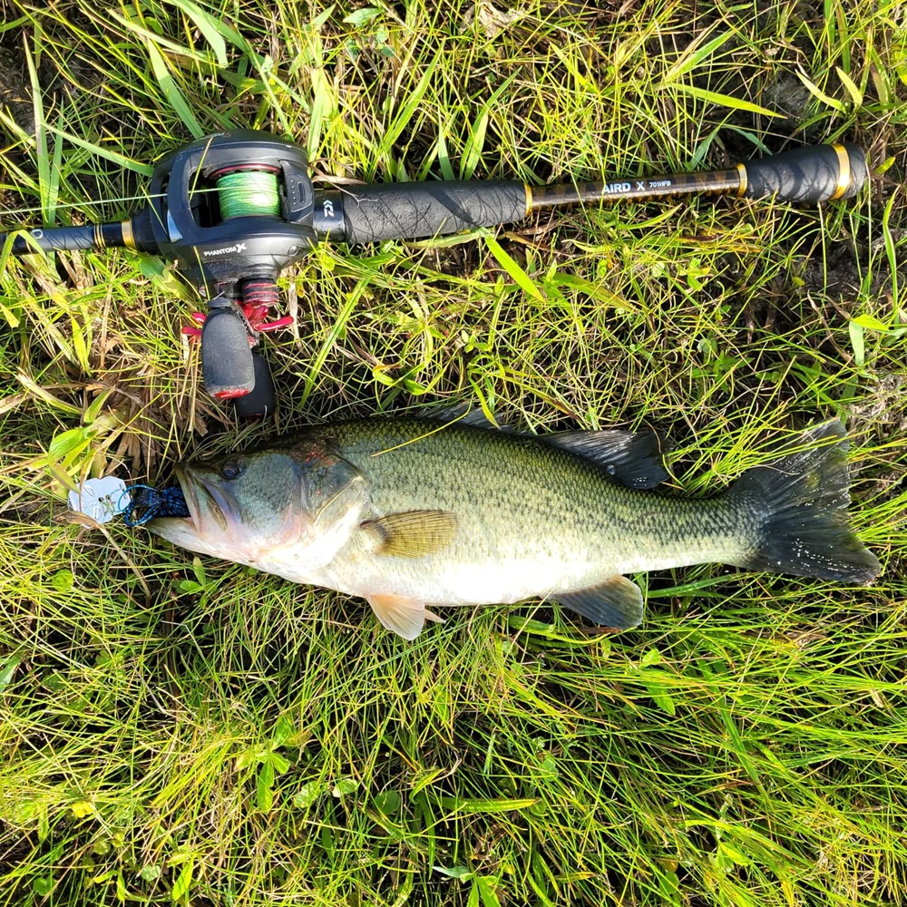 1-5Pcs Chatterbait 16g 19g Angeln Lockt Pesca Silikon Röcke Wobble Klinge Löffel Gummi Jig Kopf haken Draht Swimbait Spinner Köder – Detail 15