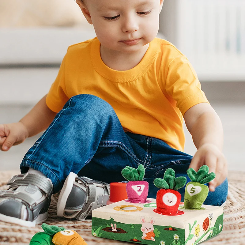 Jouets Montessori en peluche pour enfants de 0 à 3 ans, jeu de cartes, carotte, radis, numéro assressenti, reconnaissance, cadeau pour bébé