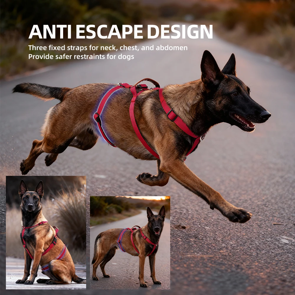 F5021 สายรัดป้องกันการหลุดแบบไ - No Pull Dog Harness บทวิจารณ์และราคา