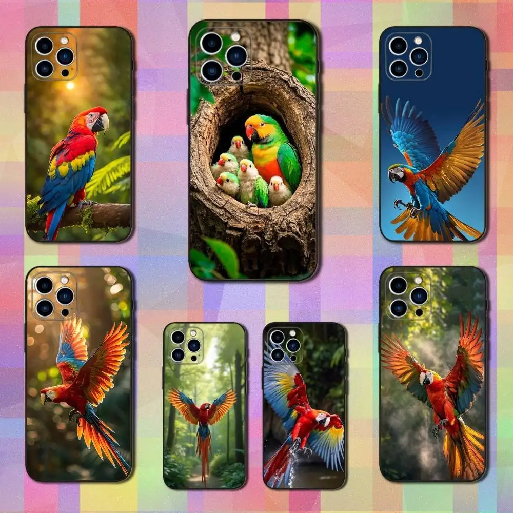 

Cute Art Animal Parrot Phone Case For iPhone 16,15,14,13,12,11 Plus,Pro Max,XS,X,XR,SE,Mini,8,7,Soft Silicone Black Cover