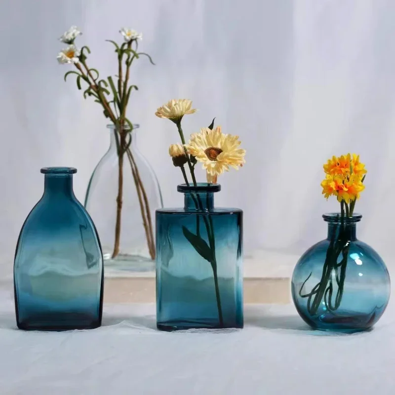 European Modern Hydroponic Vase, Luxury Simple Jarrones for Homestay Restaurant Decor