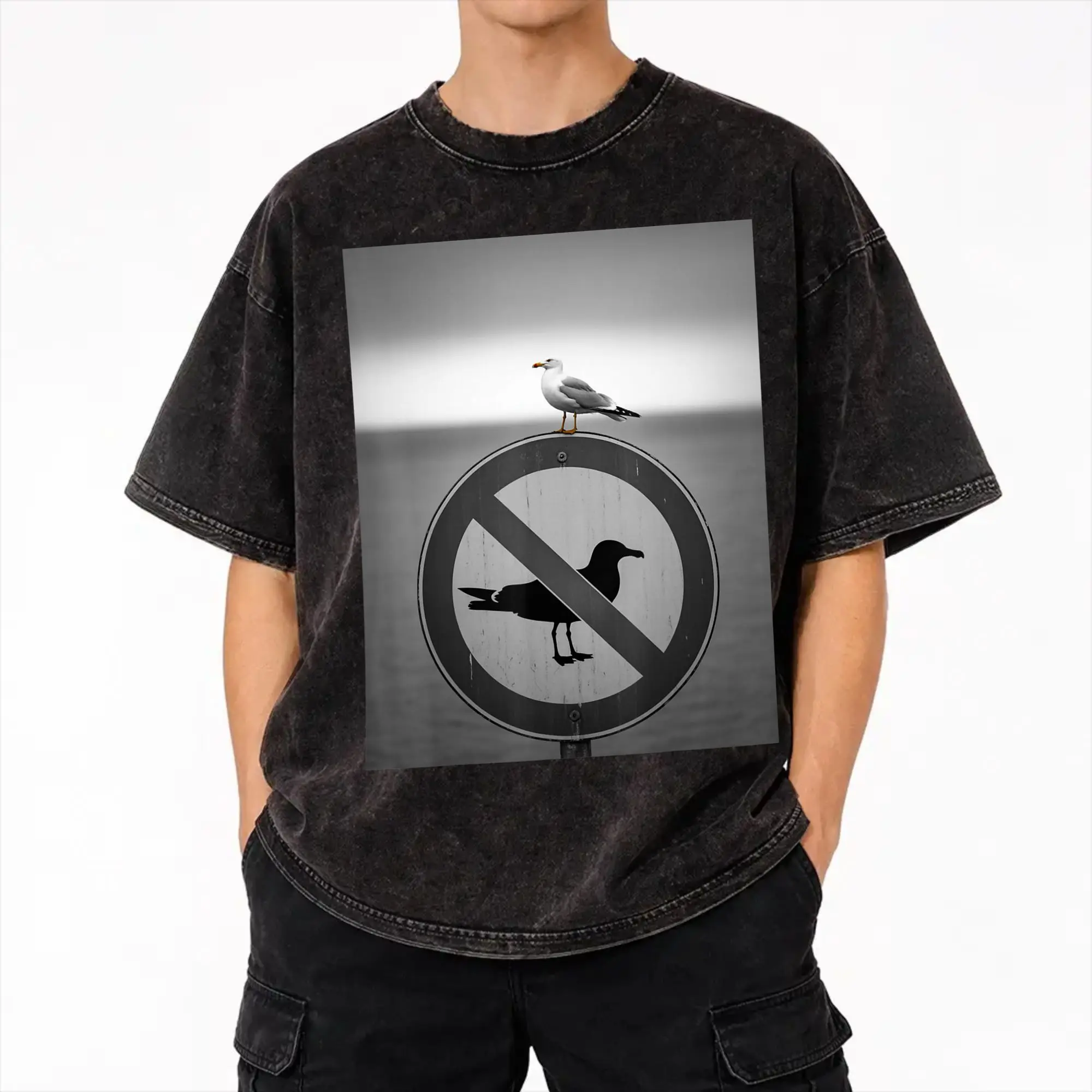 Harajuku Washed Shirt Funny Seagull Saying Bird Ignores No Seagulls Sign Humor  Outfit Fashion T-Shirts Oversize  Streetwear