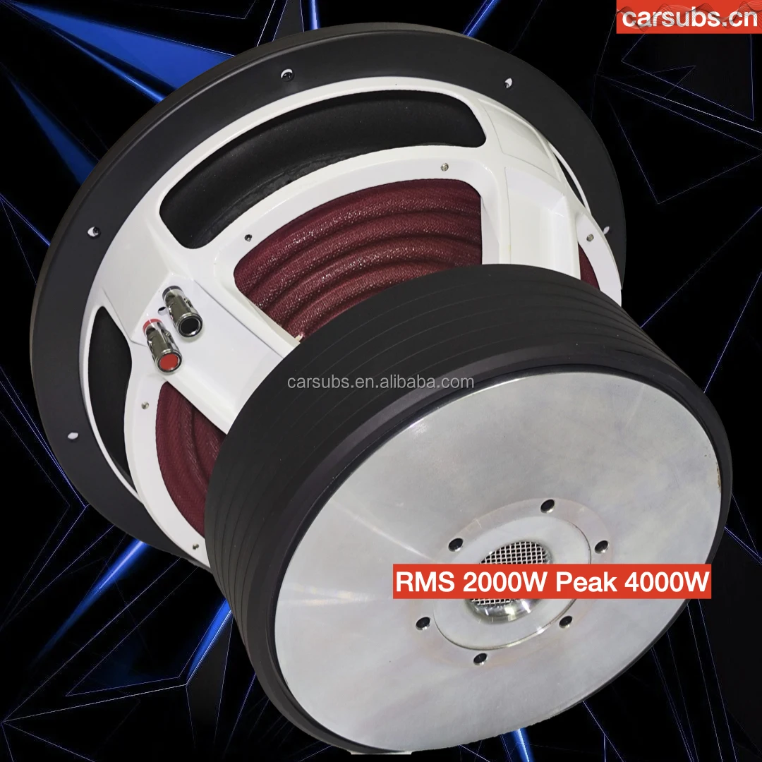 2025FS 28hz Bassi forti 12 "Car Bass Subwoofer Altoparlante Competizione Sub RMS 2000W 4 + 4ohm 12 pollici 4000W Picco SPL Subwoofer per auto