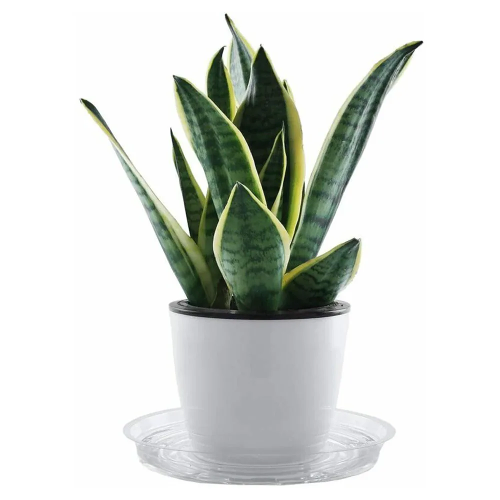 10pcs Garden Plant Saucer Drip Tray Round Pot Base Clear Snack Container PET Garden Supplies Transparent Flower Pot Mat