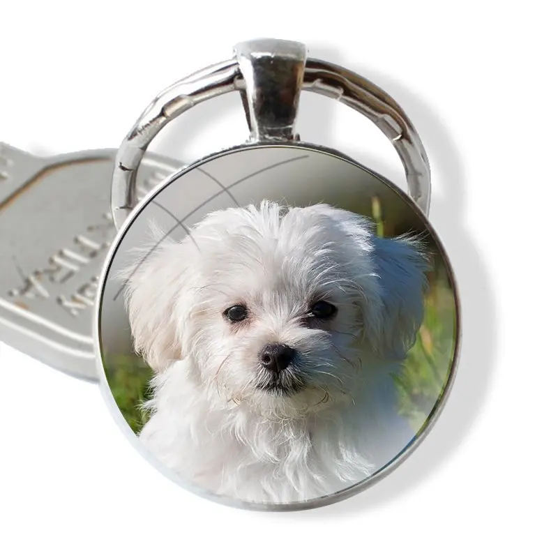 Glass Metal Pendant Key Chain Classic Men Women Key Ring Accessories Jewelry Gifts Animal Bichon frise dog