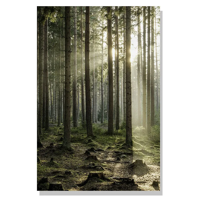 Winter Snow Forest Deer Owl Sunlight Landscape Painting Nordic Morning Scenery Home Decor Canvas Poster Art Print Wall Pictur
