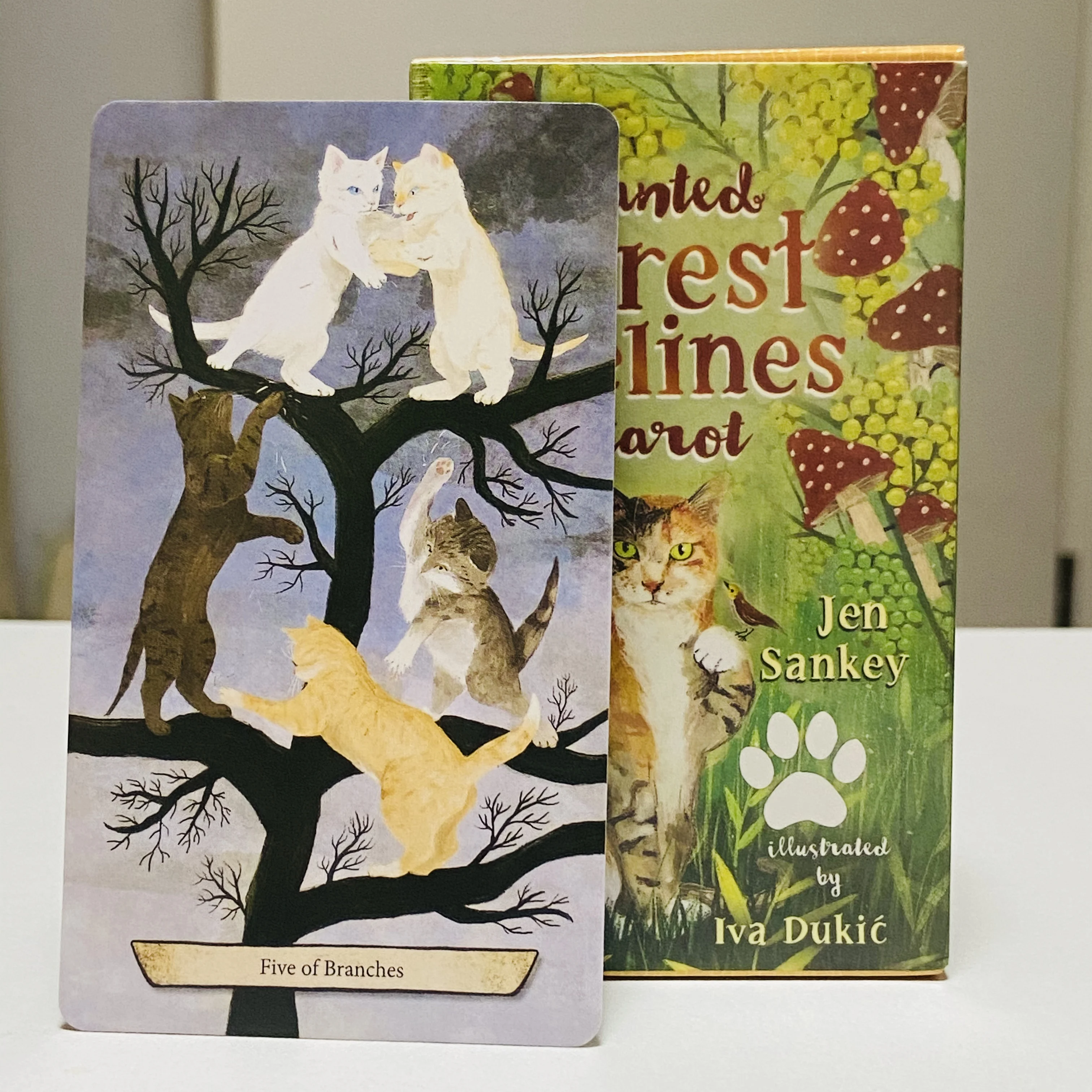 Enchanted Forest Felines Tarot Deck 78 قطعة بطاقات التارو الانتظار تجربة قوة العانسية القطط - 10.3*6 سم