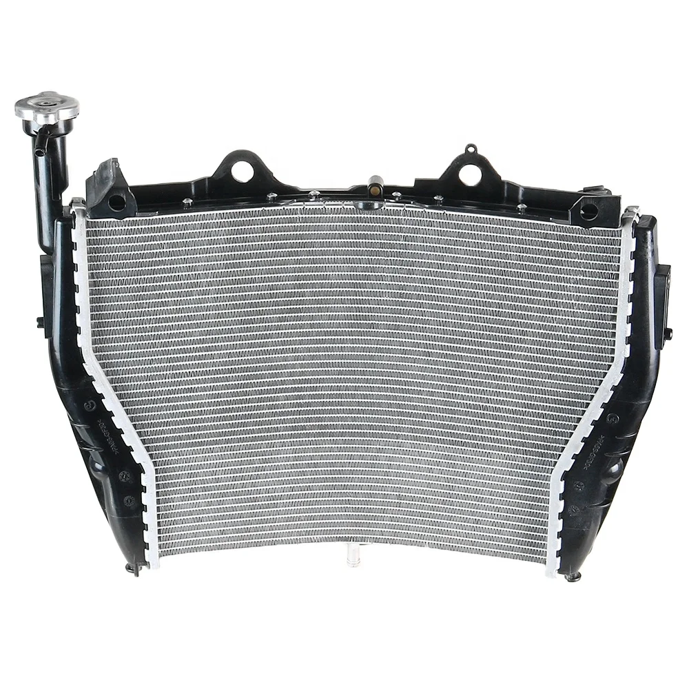 

Охладитель радиатора мотоцикла, резервуар для охлаждающей воды для BM W S1000RR 2009-2018, аксессуары для мотоциклов