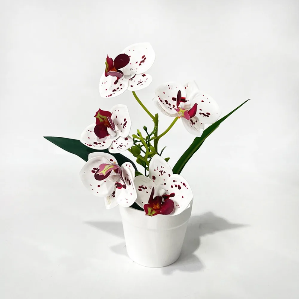 5 Blooms Artificial Orchid Arrangement Indoor Realistic Potted Flower Display White Pot Compact Phalaenopsis Orchid Decor