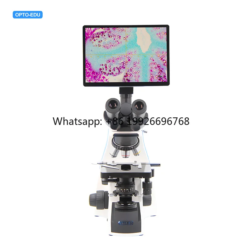 

A33.1502 Binocular LED Video Microscope Lcd Led Touch Screen with Usb Touch Coaxial Coarse & Fine