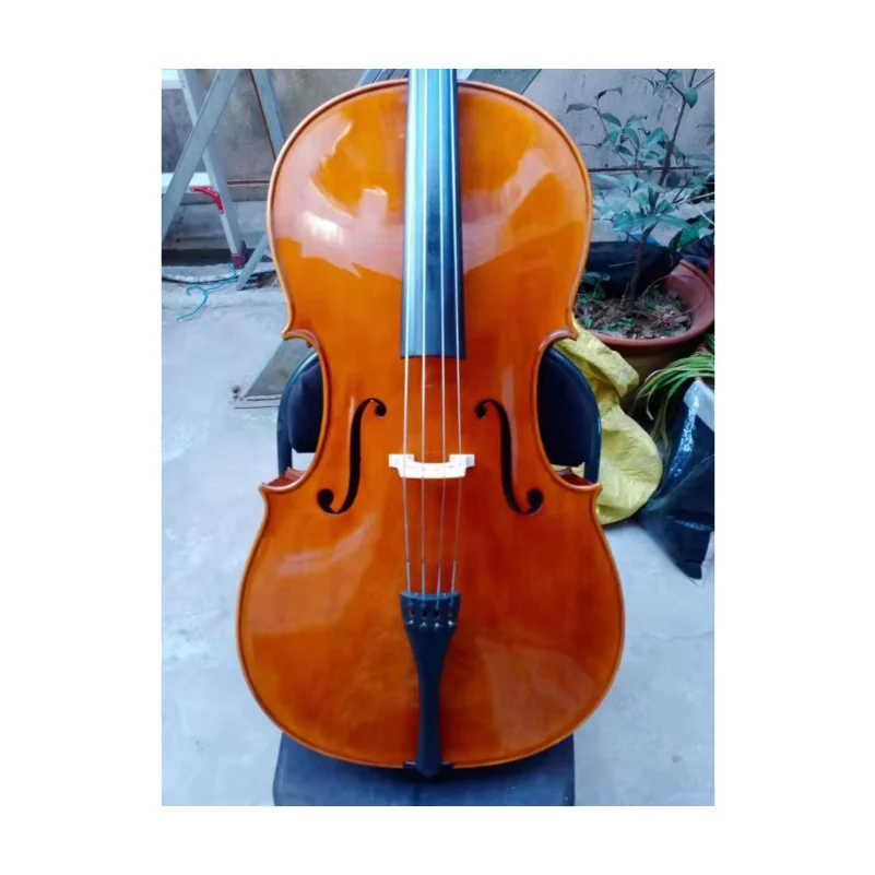 SONG-Hand Made Maple Back Bow and Neck Maple Top, Solid Wood, German Brand, 4/4, European's, Flame Maple Back