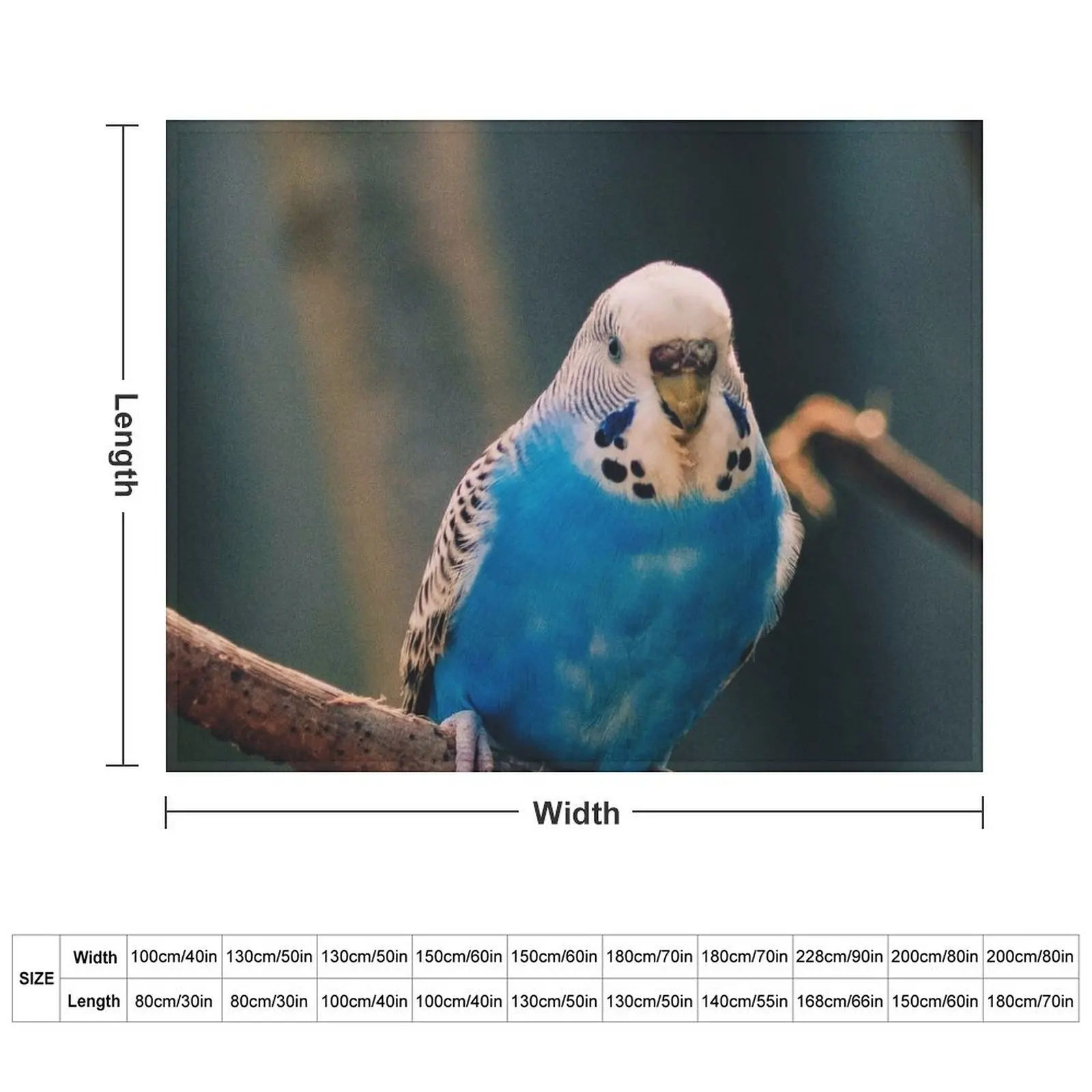 Blue Budgie Photo Throw Blanket Beach Blankets For Sofas Bed Blankets