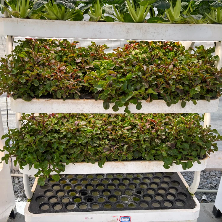 스마트 수직 수경 재배 시스템 - LED 재배등이 장착 - Smart Garden System 리뷰 및 가격