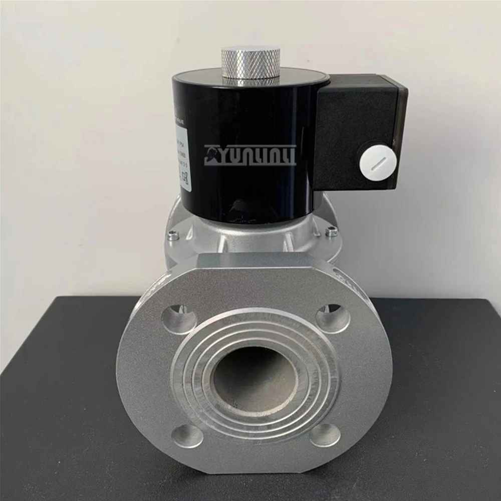 Solenoid Valve Kiln Burner Natural Normally Closed Quick Open Safety Valve Dn50 Solenoid Valve 2025 NEW