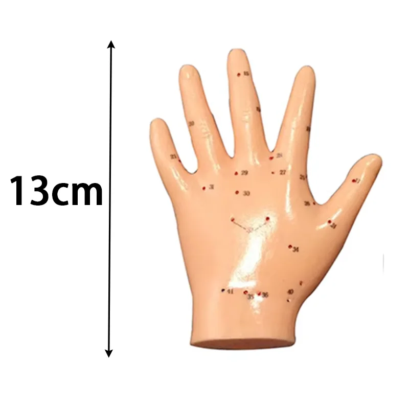 Thumbnail 3 - #13 Best Acupuncture Models to Buy In 2026