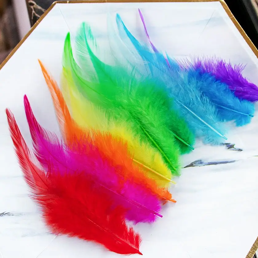 50pcs Rooster Feather Colored Chicken Feather for craft Dreamcatcher Cat Stick Decorative Jewelry Accessories Handmade Material