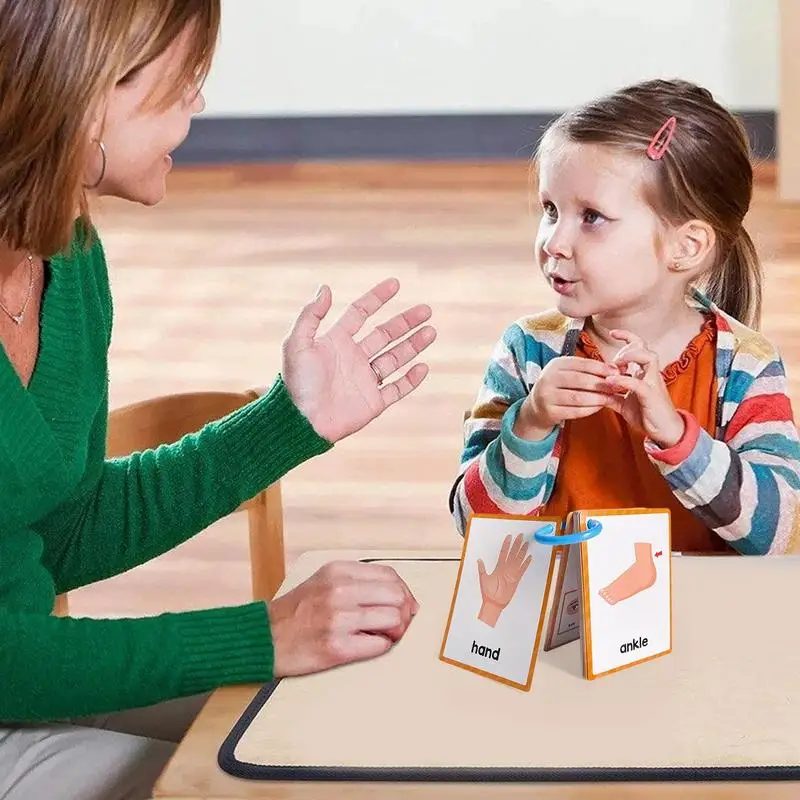 Body Parts Flash Cards English Pocket Card 15Pieces Body Parts Flash Card Vocabulary Words Flashcard Educational Learning