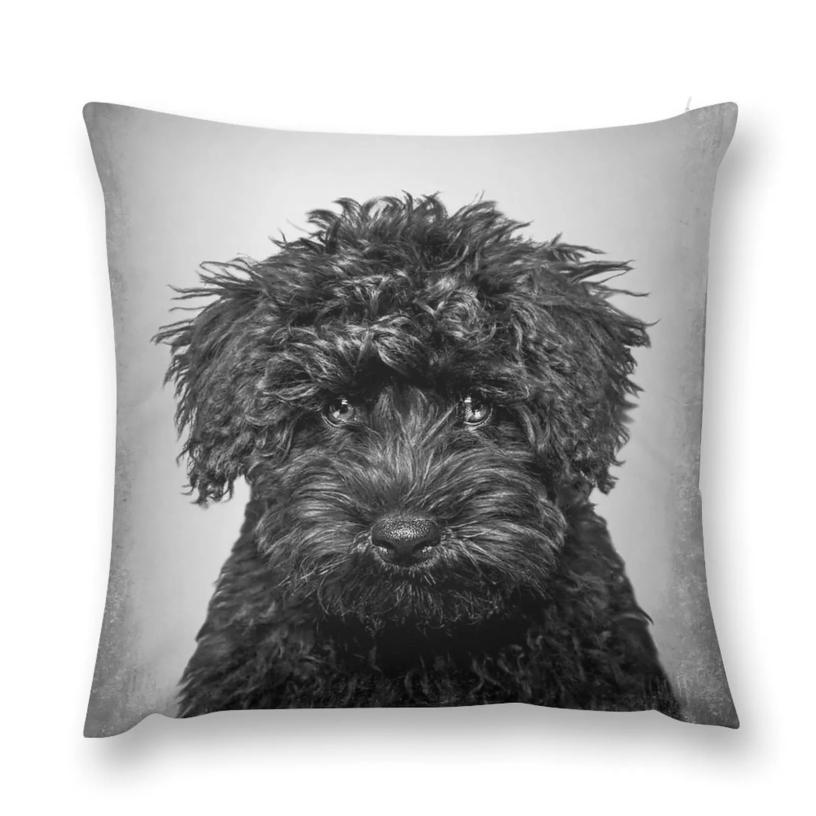 

Toy Poodle dog - BW Vintage - D86 Throw Pillow Pillow Cases Cushions For Children Room decorating items pillow