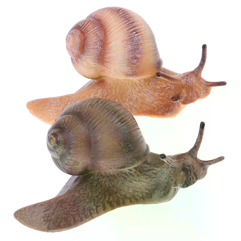 Simulation animal  model mini animal snail growth cycle ornament