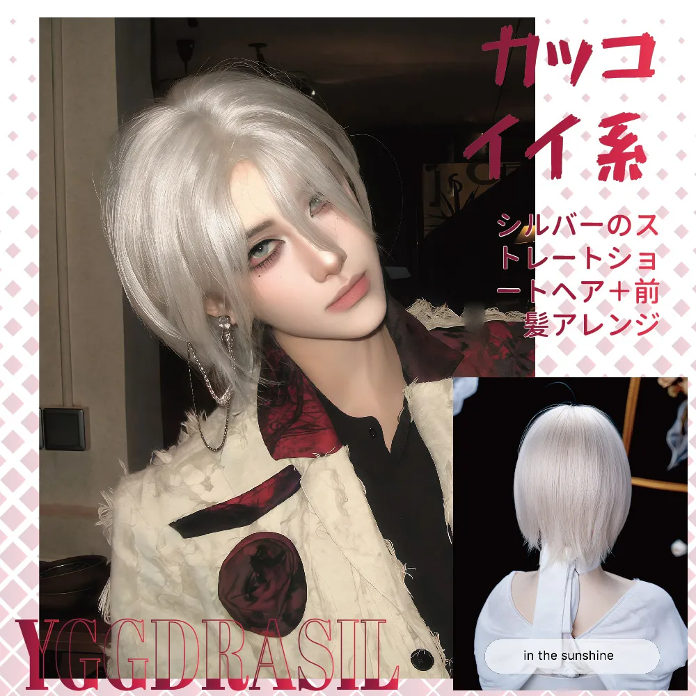

14Inch Platinum Silver Handsome Synthetic Wig with Bangs Short Natural Straight Hair Wig for Man or Women Cosplay Heat Resistant
