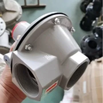 DN25 Threaded Gas Overpressure Relief Valve Natural Gas Safety Vent Valve / Spill Valve Aluminum Body For Gas Regulator Station