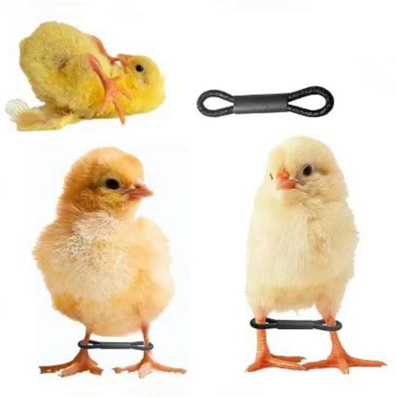 100PCS Baby Chicken Splay Leg Hobble Brace Adjustable Poultry Leg Bands For Newborn Spraddle Leg Chick Bird Quails Ducks