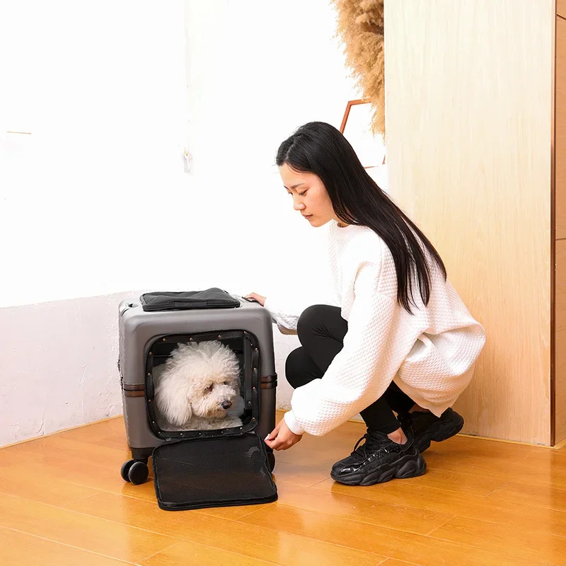 DG65: New Pet Trolley Case Large Dog Outing Bag Portable and Transparent Pet Flight Box Cat Takeaway  Travel Pet