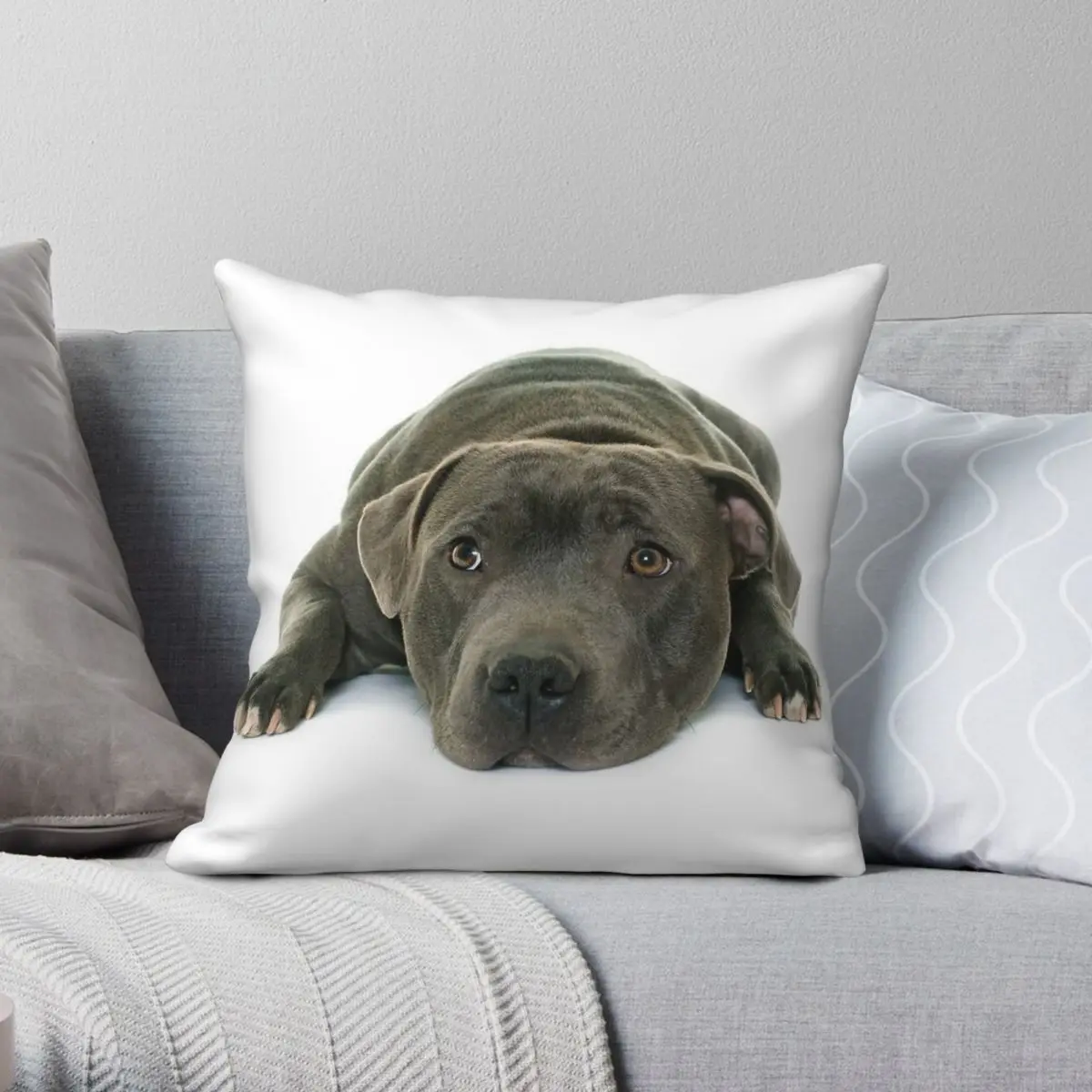 Staffordshire Bull Terrier Cute Pillowcase Polyester Linen Velvet Pattern Zip Decorative Car Cushion Cover 18