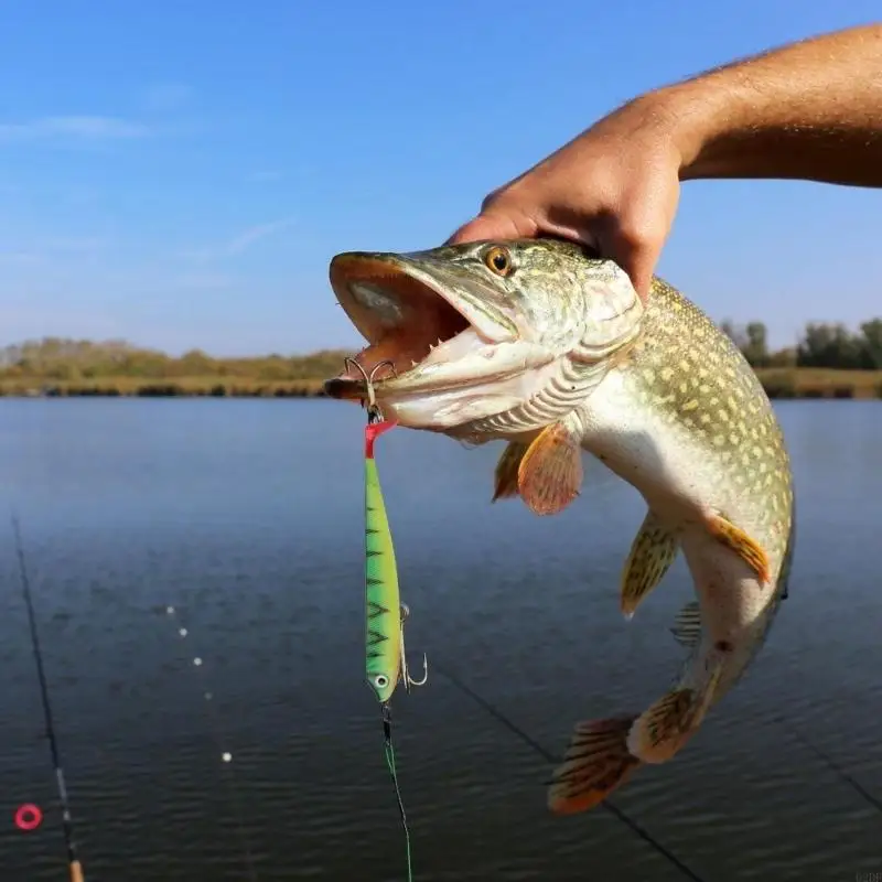 02DF 8Pcs Artificial Baits Fishing Lures Paddle Tail Swimbait for Trout Fishing T Tail Baits Fishing Lures Swim Baits 7.5cm