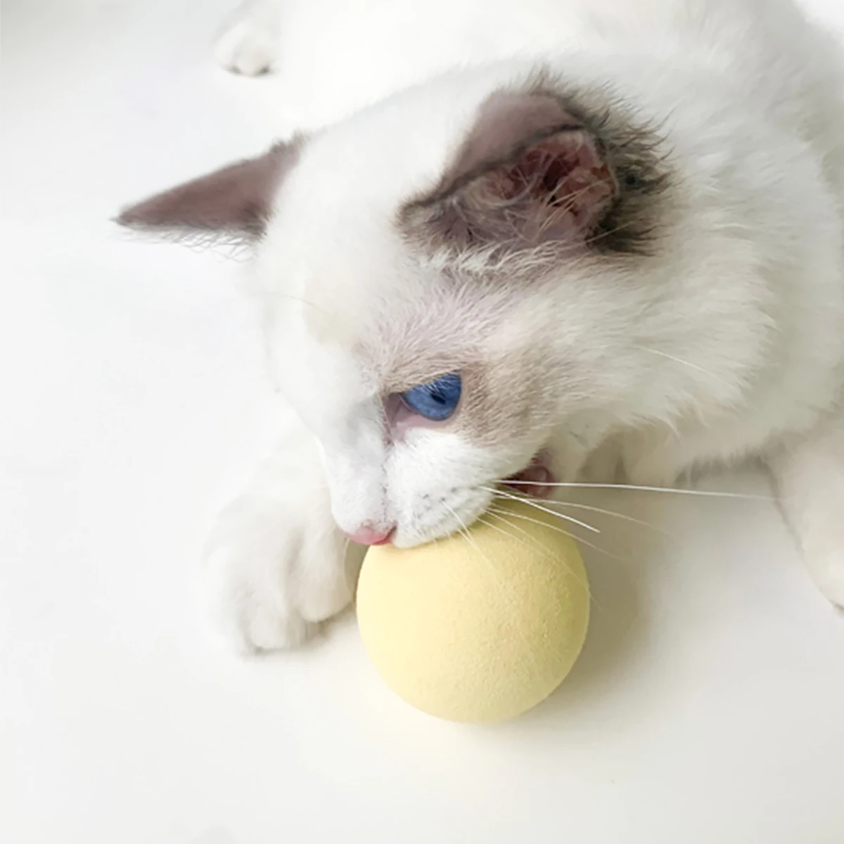 Ew gravitative bellen ball teaser katze stick mint ball spielzeug ew gravitations bellen ball teaser katze stick mint ball spielzeug