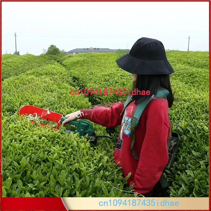 Best Selling Agricultural Model Mini Handheld Tea Picker Lithium Battery Tea Harvester Machine