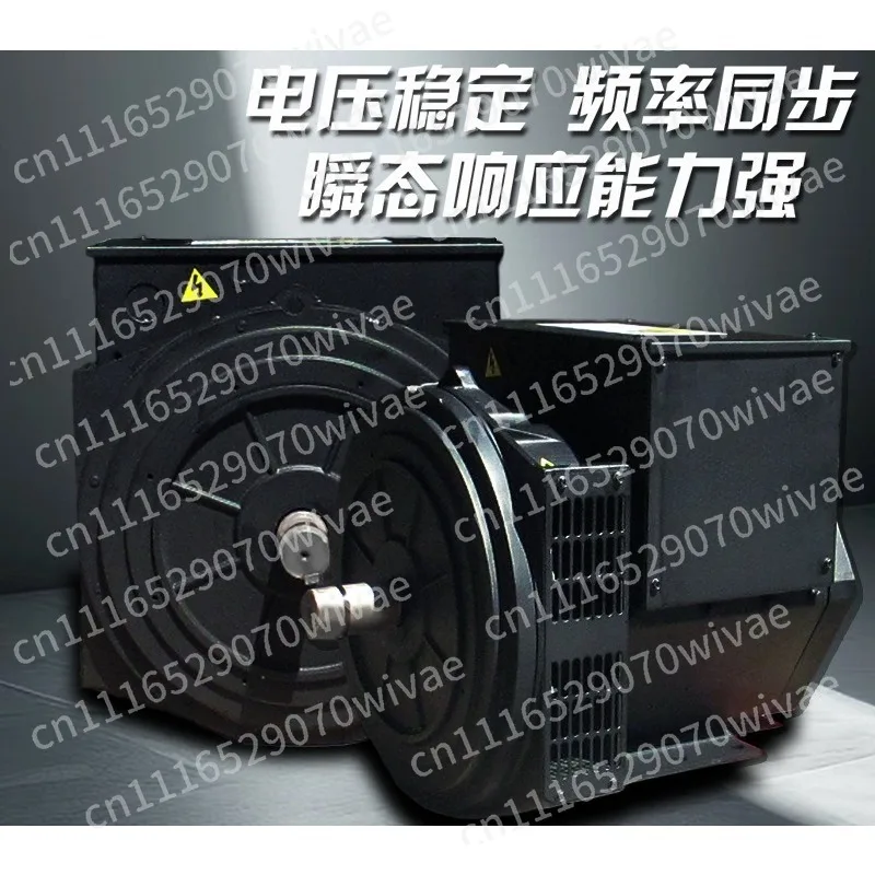 30Kw brushless alternator stand-alone 380v three-phase double bearing 50kW matching diesel engine