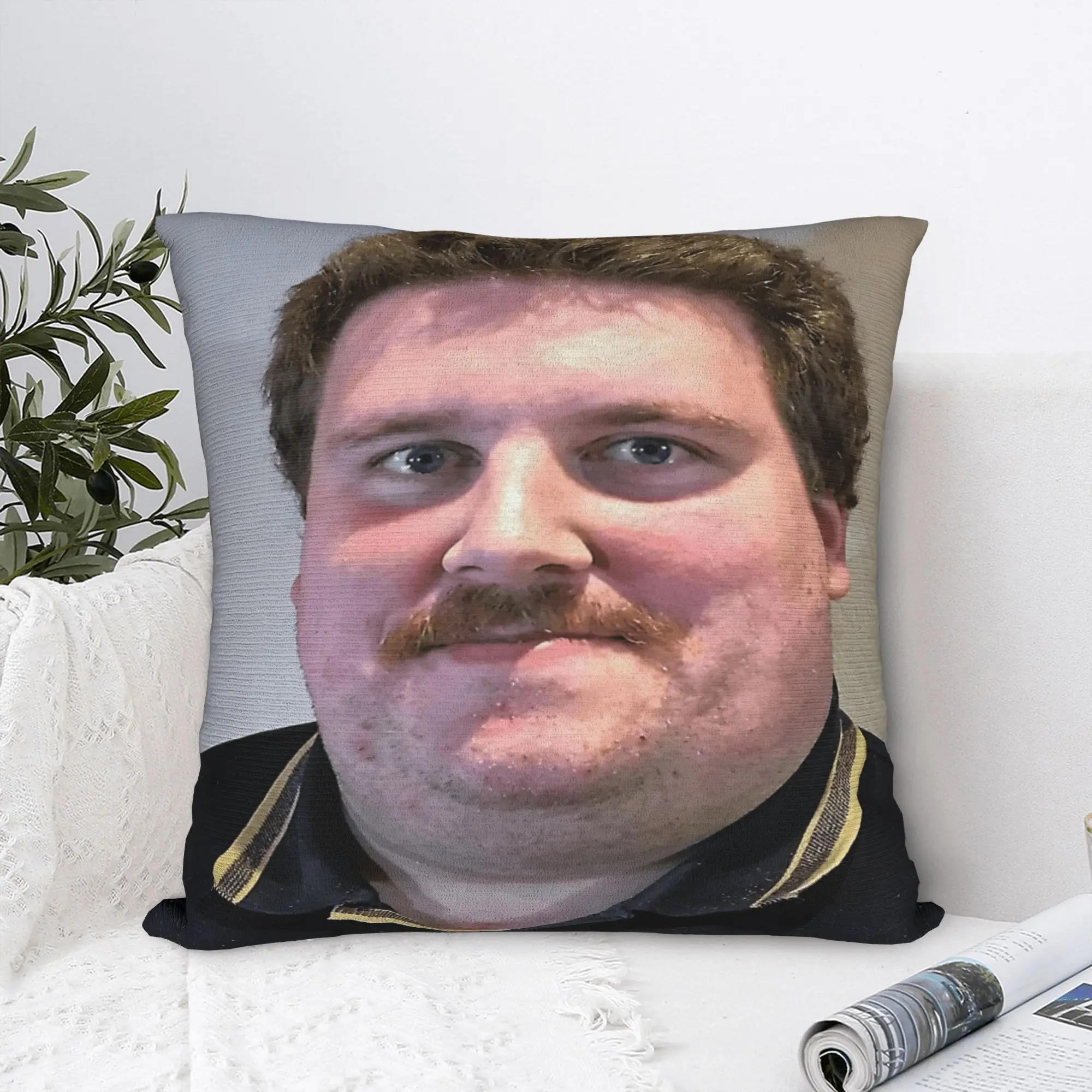 Drachenlord Poster Rainer Winkler The Superstar Original Pillow Case  Comfy Pillow Cover Morden Pillowcases For Sofa Home Decor