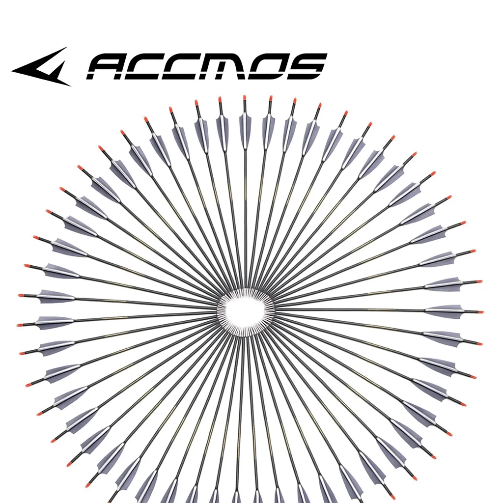 ID6.2mm أسهم كربون الرماية 30/31 بوصة العمود الفقري الصيد 300-800 رأس السهم القابل للاستبدال مع دوارات ريشة 4 بوصة لممارسة الهدف #1