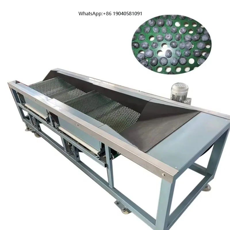 Automatic Fresh Blueberry Sorting Machine,blueberry Sorter Machine