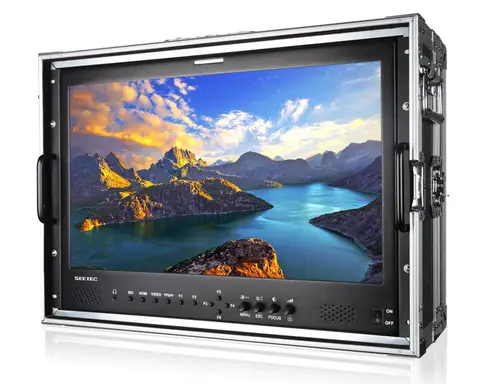 SEETEC P215-9HSD-CO IPS 풀 HD 1920x1080 휴대용 방송 감독 모니터, 3G-SDI HDMI AV YPbPr 포함, 21.5 인치