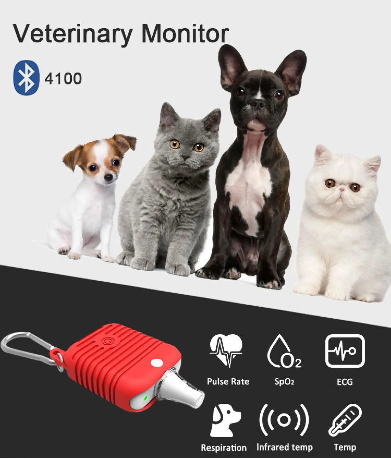 Ce China Buy Holter  Veterinary Custom Use Heart Rate Price Resp / Temp High Top Quality Veterinary