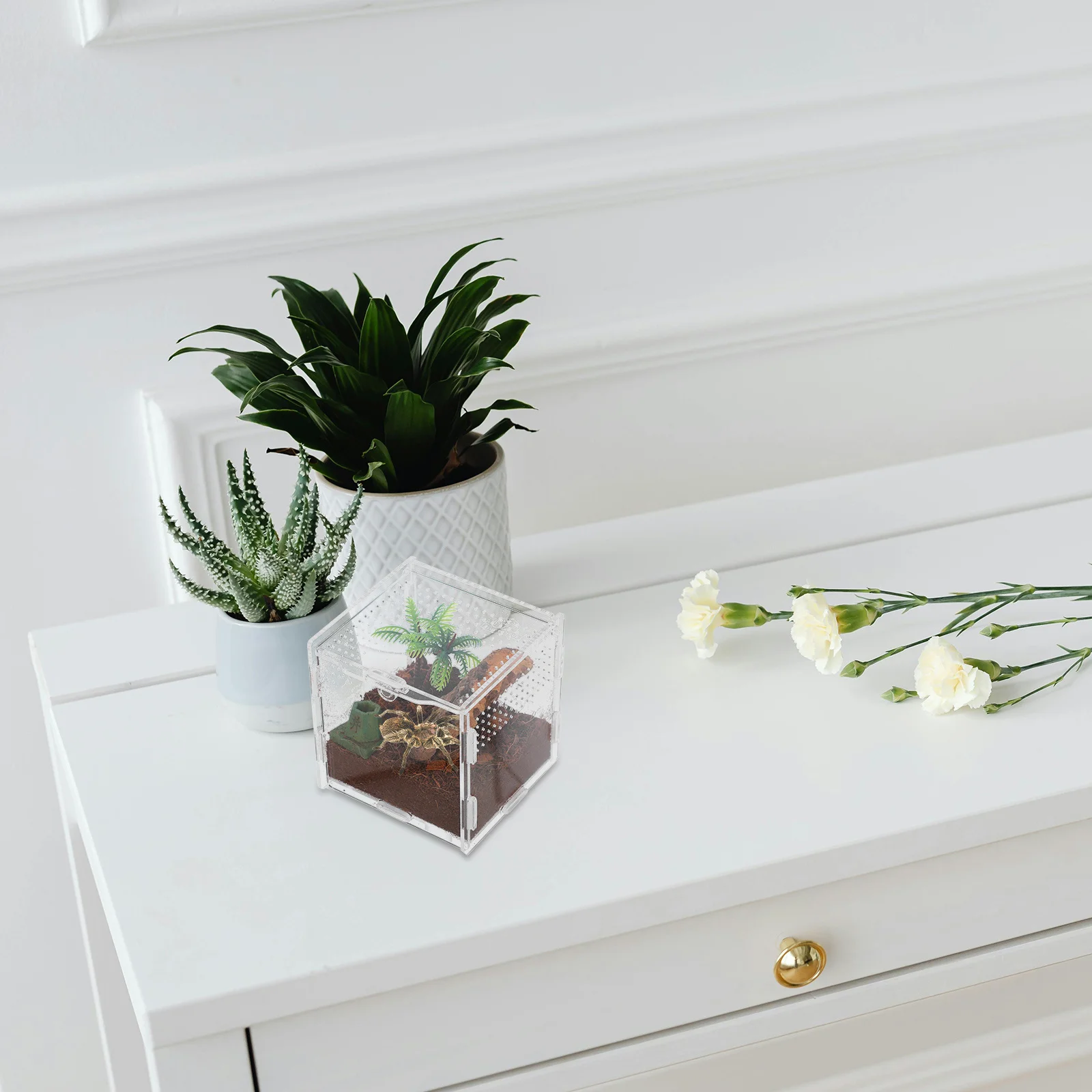 

5pcs Pet Spider Box Compact Escapeproof Transparent Design For Jumping Spider Habitat Micro Terrarium Small Reptile Insect Cage