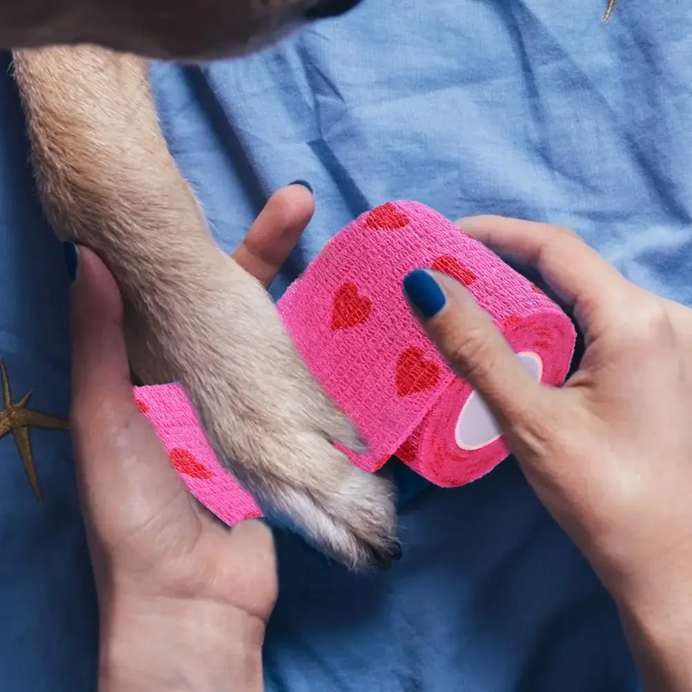 Haustier Hund Katze Medizinische Atmungsaktive Elastische Bandage Vlies Haustier Selbst Haftende Wunde Outdoor Versenkbare Sport Band Hund Zubehör – Detail 6