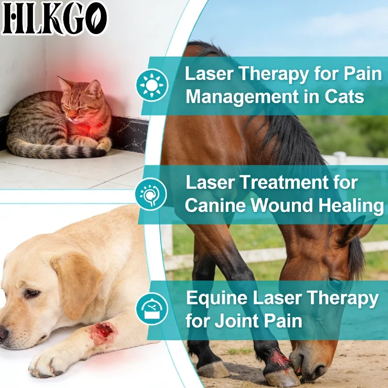 Best Veterinary Cold Laser 1295mW, 650nmx19 808nmx6 Diodes for Dogs Cats Horses Arthritis Muscle Strain Ligament Tear Relief