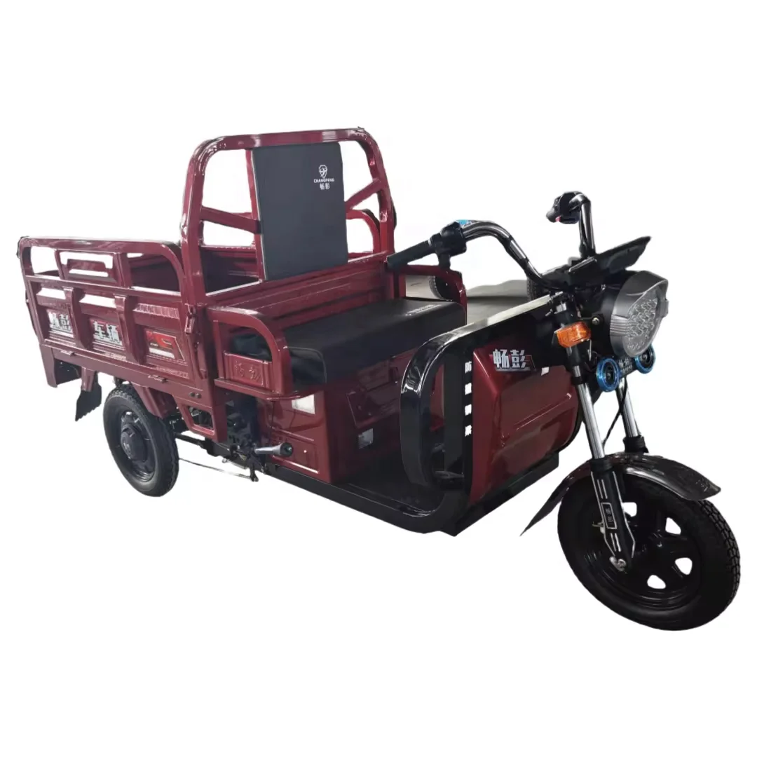 Best Selling Electric Tricycles Cargo Motor Tricycle Electric Truck 60V Triscooter City Car Factory in China Ce Eec Se Closed