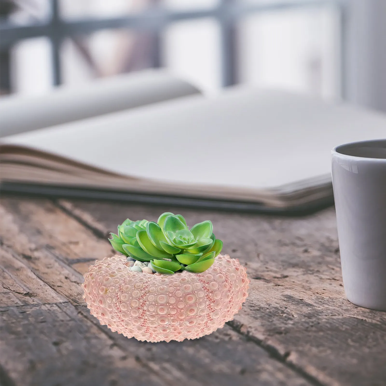 10Pcs Natural Sea Urchin Shell Material Ornament Home Decor Air Plant Holder Craft Accessory Decoration for Tabletop Bookshelf