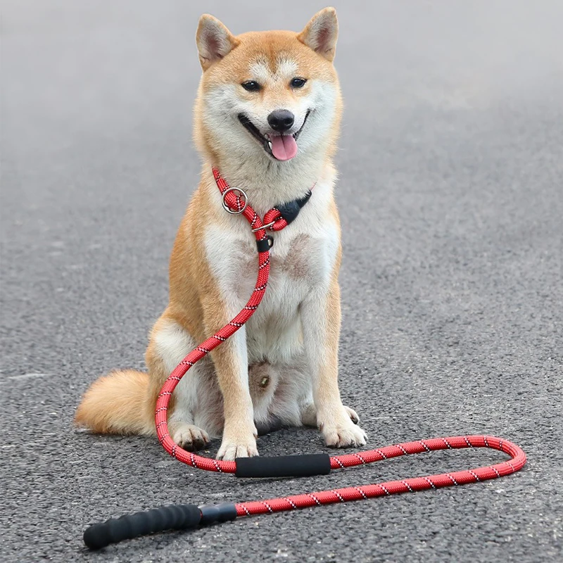 Nylon P Chain for Medium Dogs Anti Break Walking Leash Soft Foam Handle Adjustable Collar Set Durable Shiba Inu Pet Accessories