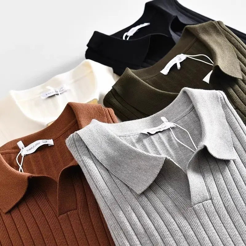 

Loose Casual Knitted Sweater for Men with Collar Ocean Bird Design ey Color Comfortable Winter Top Youth Faion