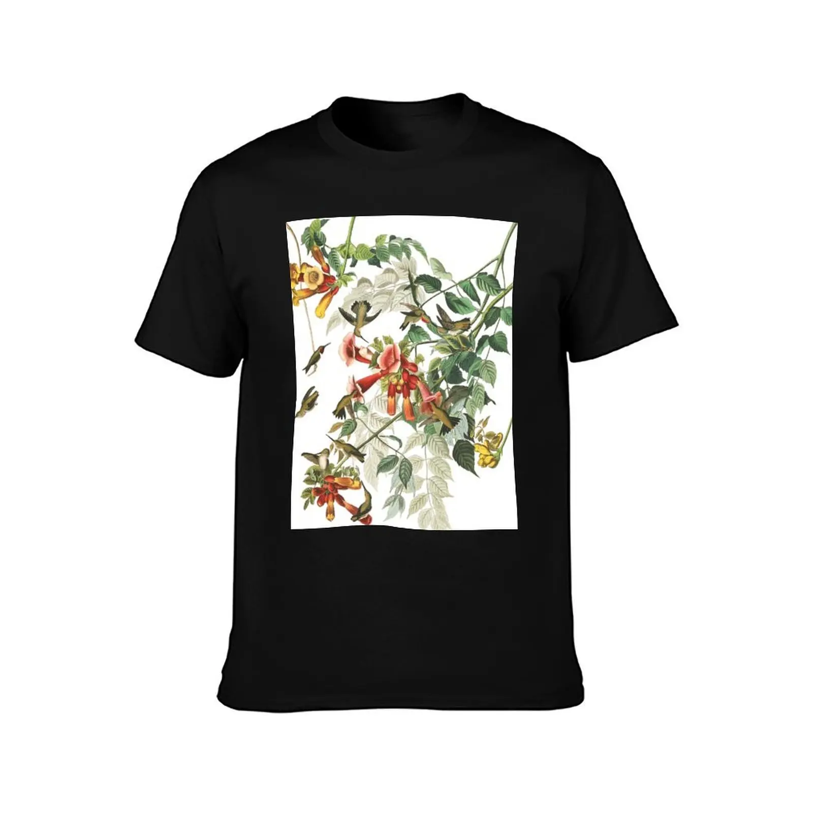 Ruby-throated Hummingbird - John James Audubon T-Shirt Plus Size Short Sleeve T-Shirt
