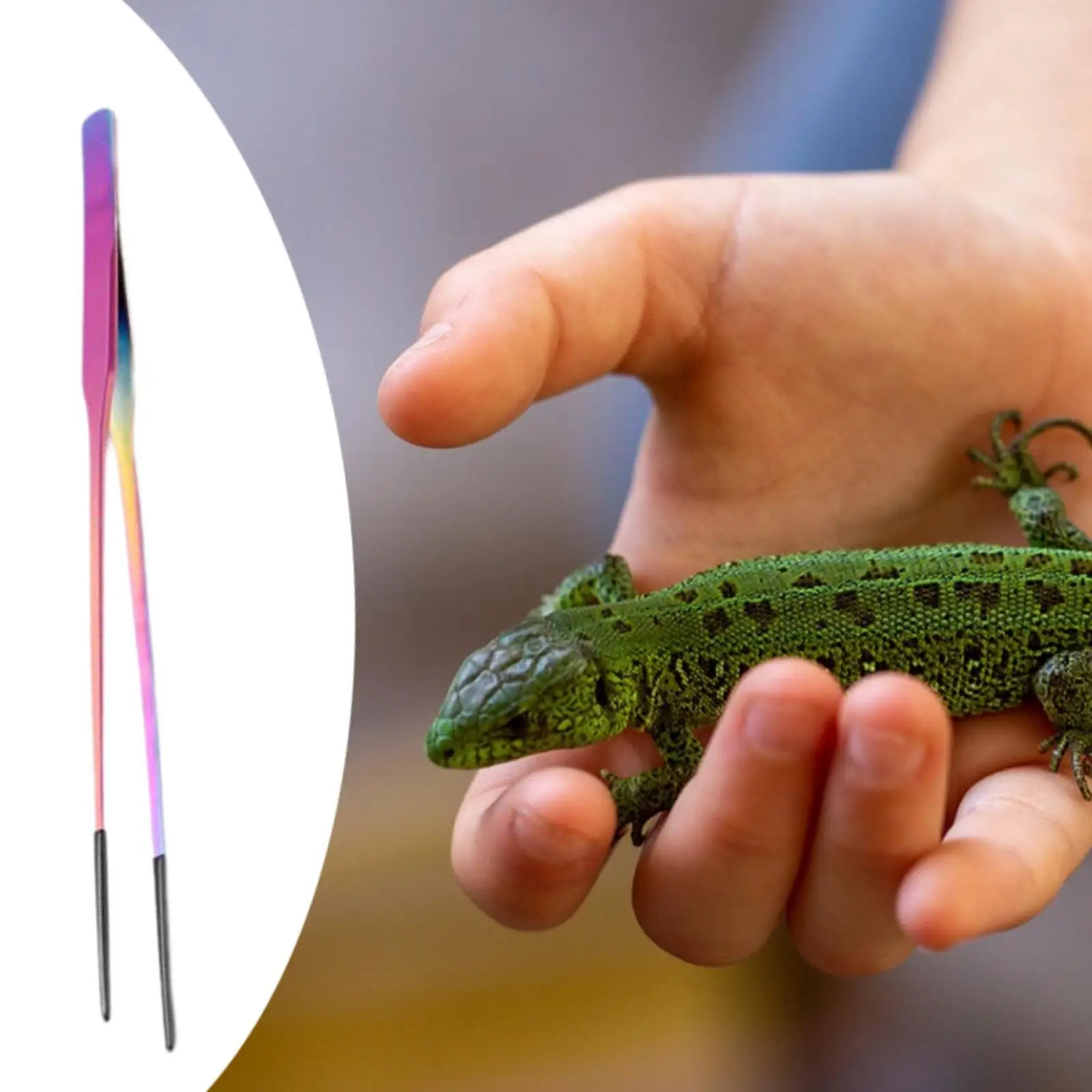 Pinzas silicona para iguanas y tortugas - Punta suave - imagen 5