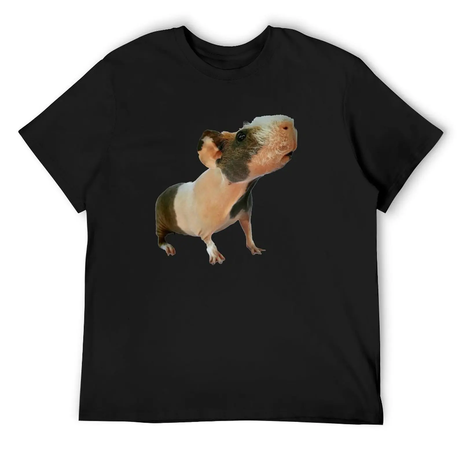 skinny pig T-Shirt tees aesthetic clothes anime t shirts t shirt men