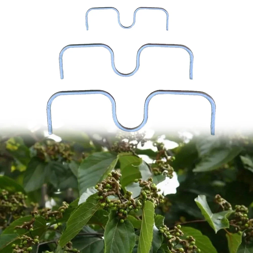 

10/18/50pcs Fruit Tree Branch Shape Fixator Garden Yard Trees Support Holder M-Shaped Fruit Tree Branch Dividers Gardening Tool